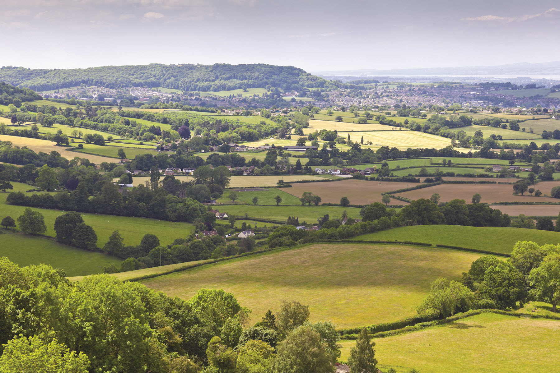 The Quantock Hills