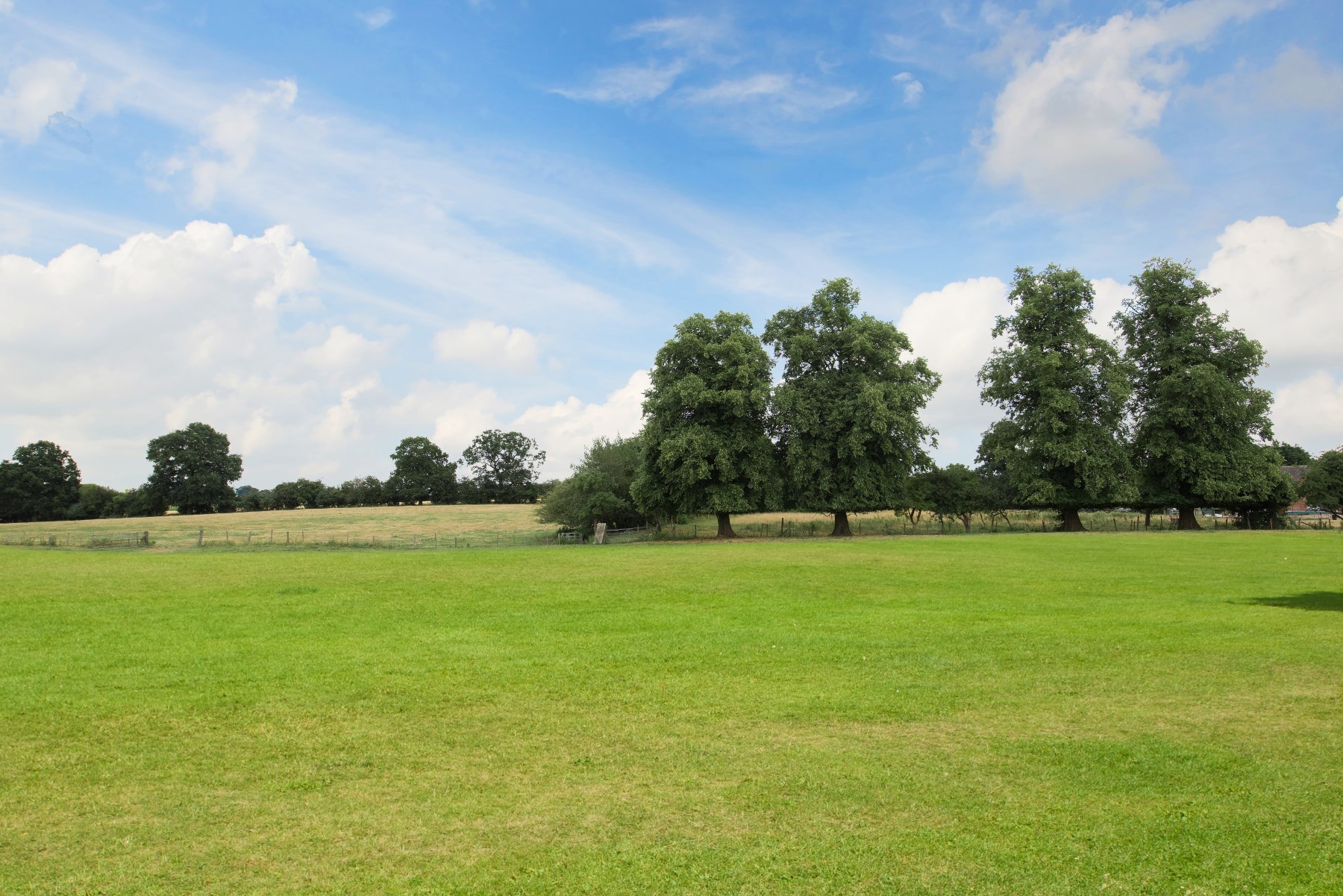 TWM_Cherry_Tree_Views 001