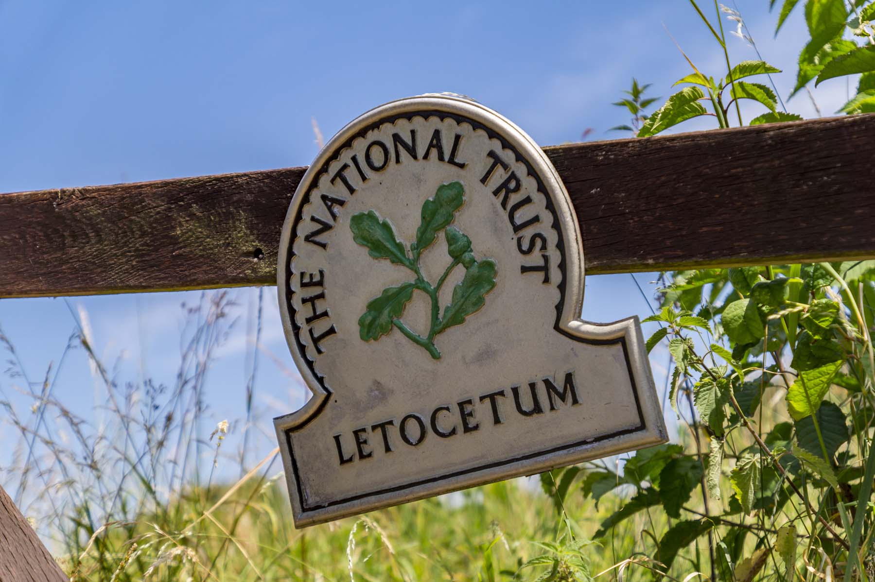 National Trust - Lichfield-DeansladeFarm-photography-July2018-08377