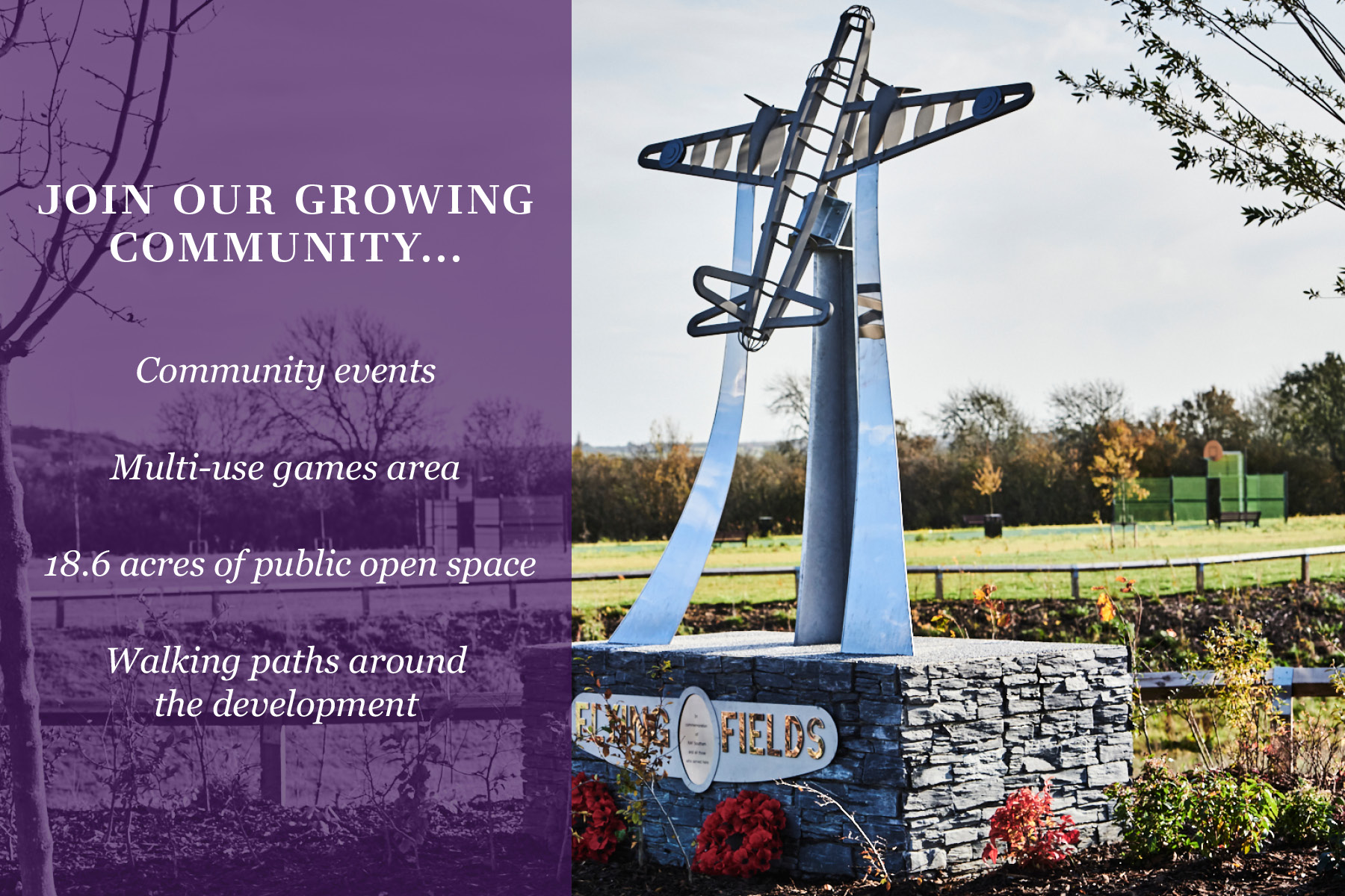Flying Fields Community Graphic