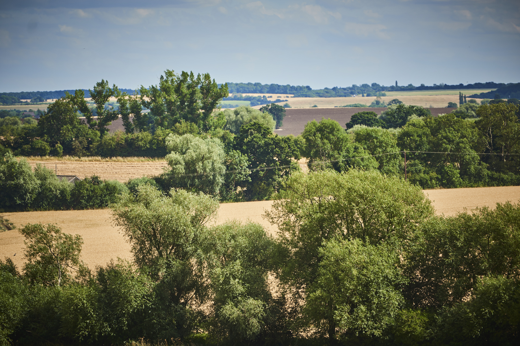 TWM_MeadowsweetFarm_LeamingtonSpa_0004
