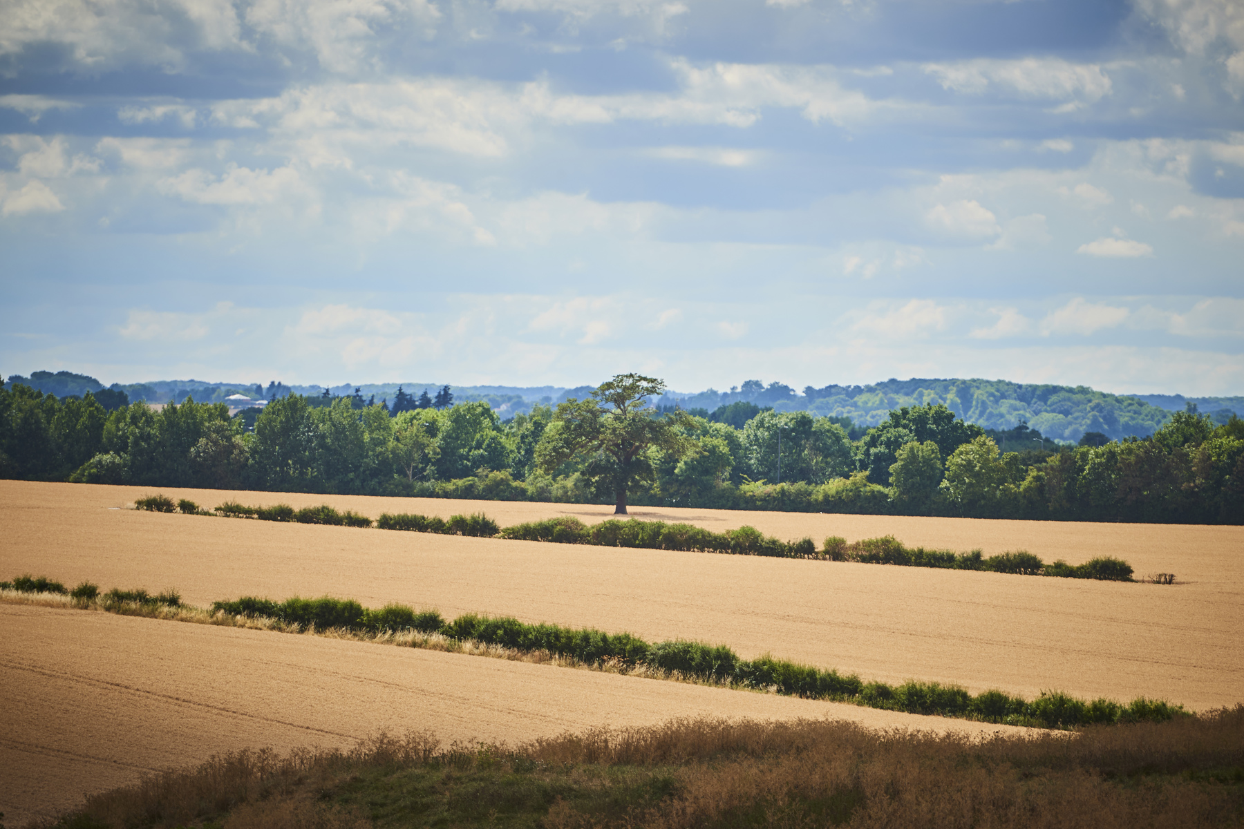 TWM_MeadowsweetFarm_LeamingtonSpa_0007