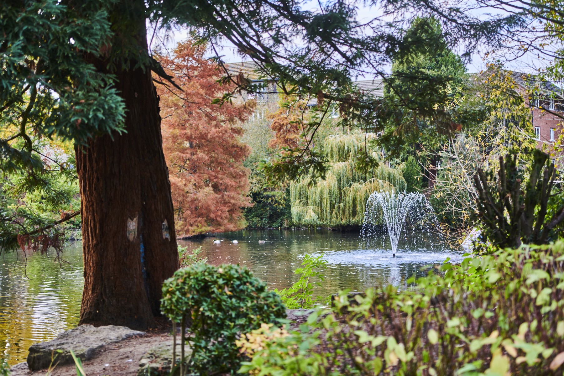TWS_AmbroseGardens_AreaPhotography_Swindon_Oct2019_017