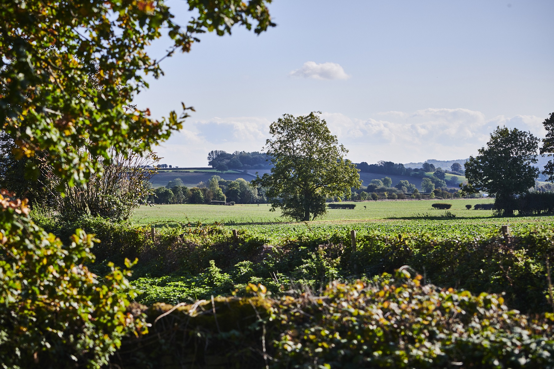 TW_ThornburyGreen_Eynsham_AreaImagery_0055