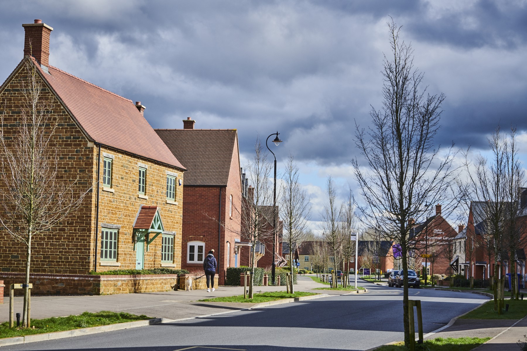 Willow Park street scene 2