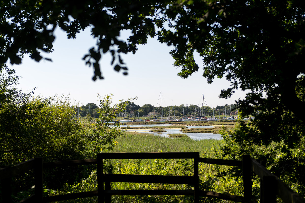 Southampton Woodland with harbour view
