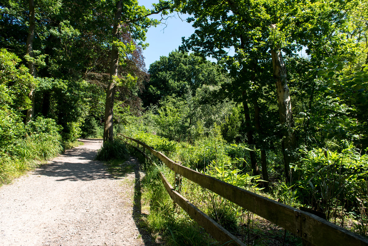 Southampton woodland walk