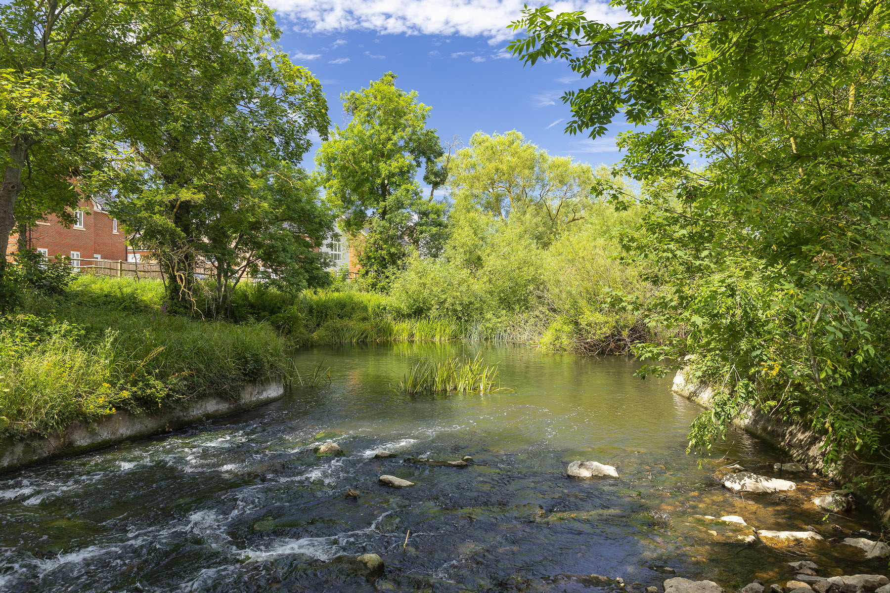 LoddonPark_LocalArea_Webfile_2
