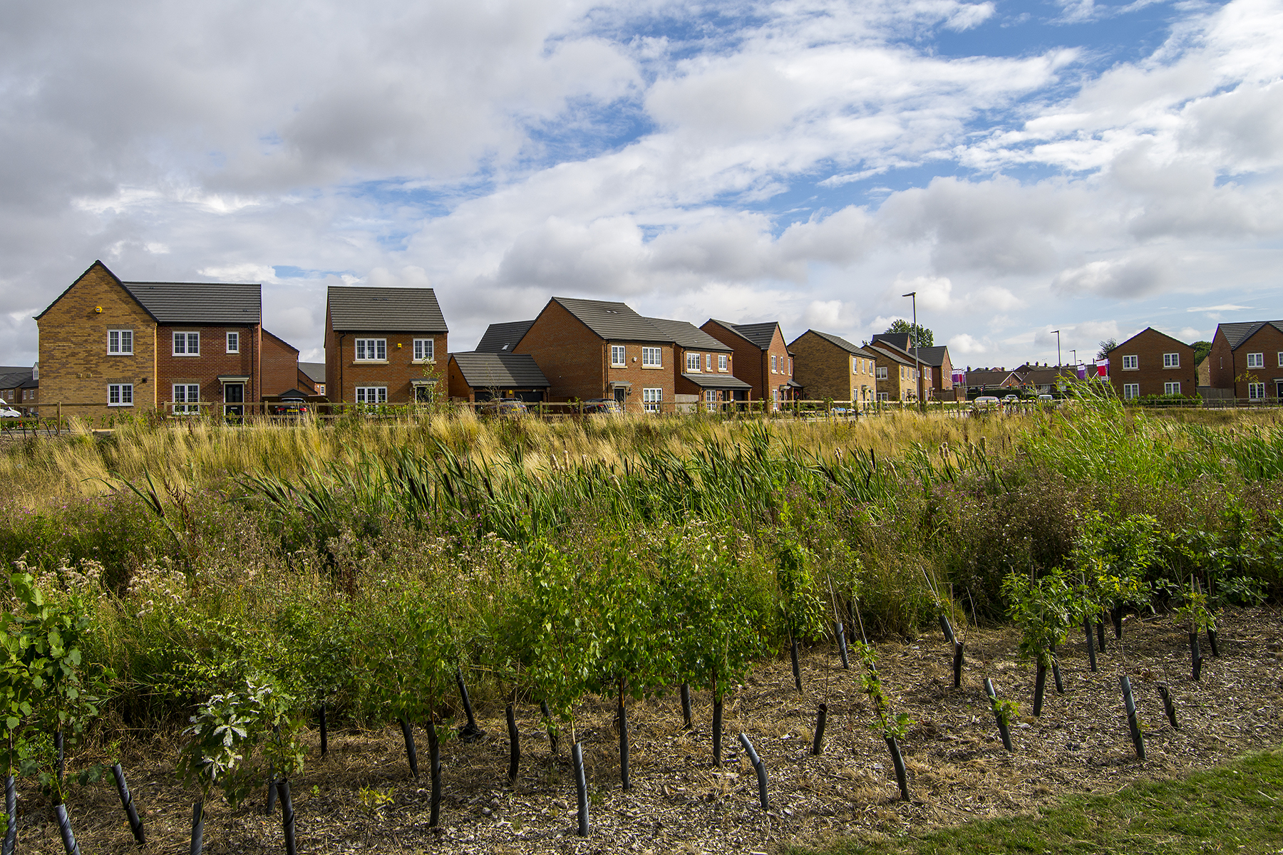 SPN-Colliers Court Featherstone 04