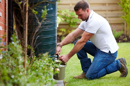 man gardening
