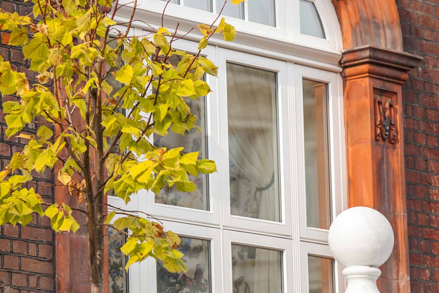 house window